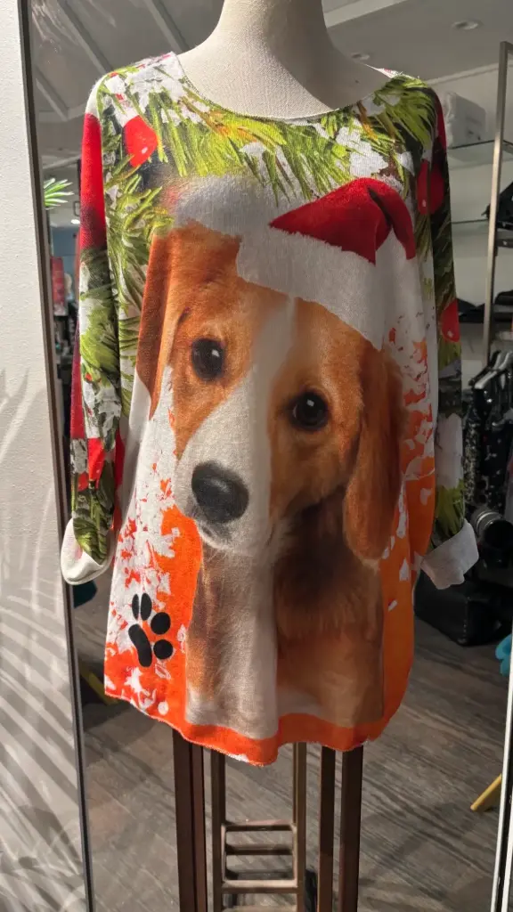 Pull fin de Noël imprimé chien